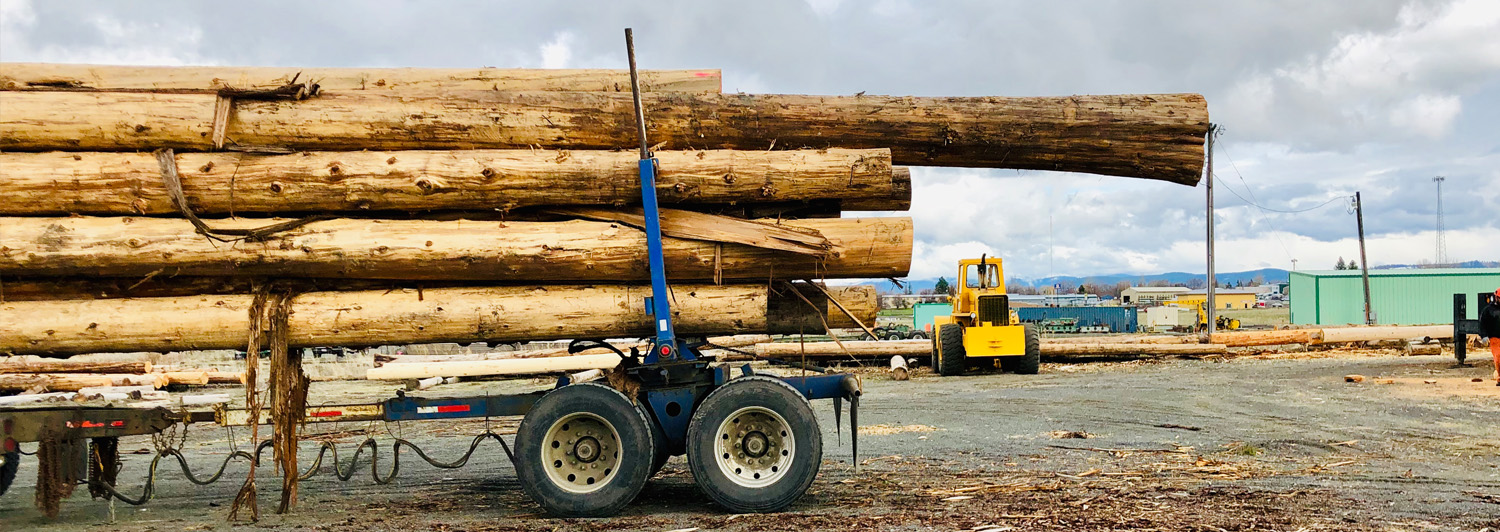 Log Homes & Cabin Kits Builder